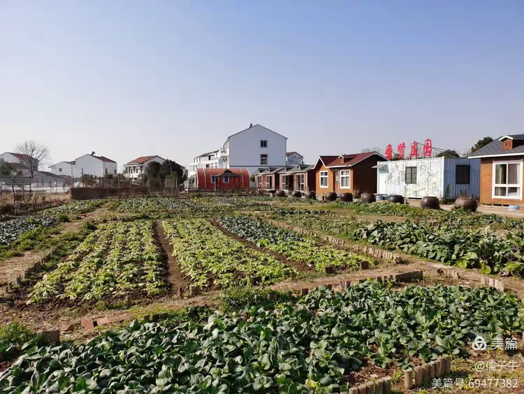 冬日里的圣贤庄园